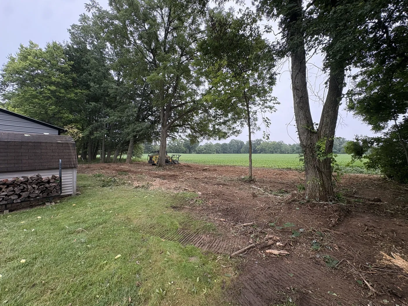 The same yard edge after mulching, opened up to the field behind the kept trees