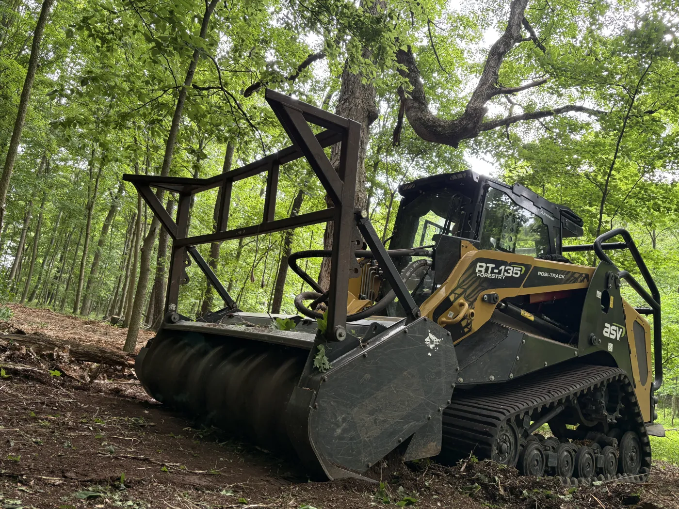 Forestry Mulching in Norwalk, OH