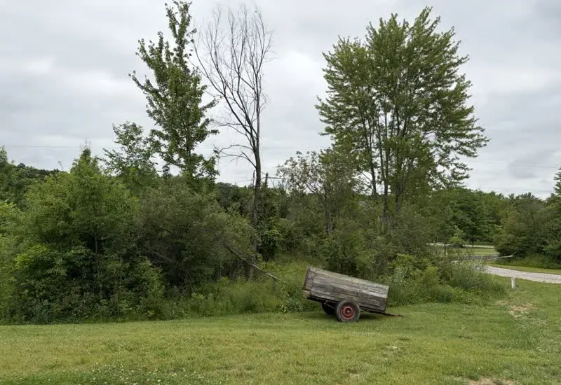 Brush Hogging in Mansfield, OH