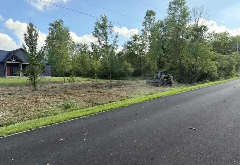 Forestry Mulching in Mansfield, OH