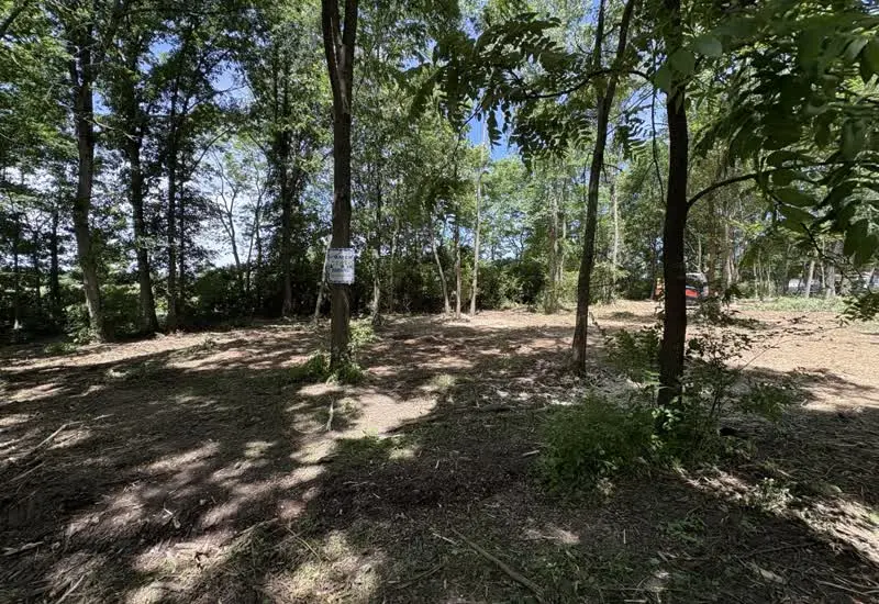 Underbrush Removal in Mansfield, OH